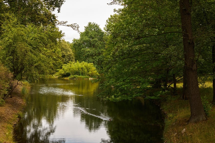 Park Szczytnicki we Wrocławiu