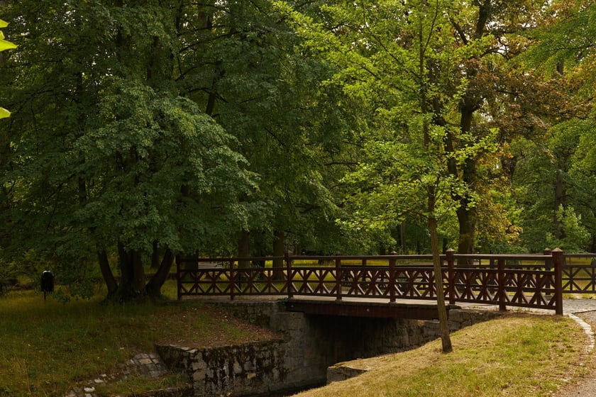 Park Szczytnicki we Wrocławiu