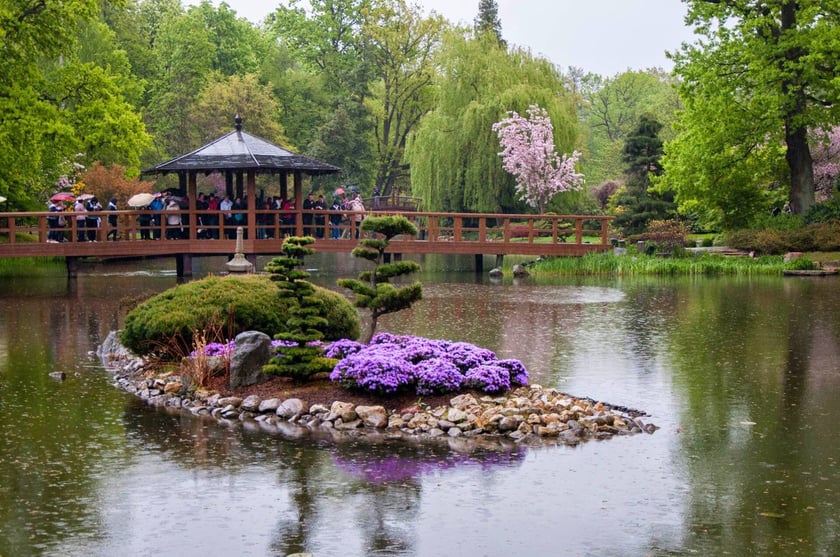 Park Szczytnicki we Wrocławiu