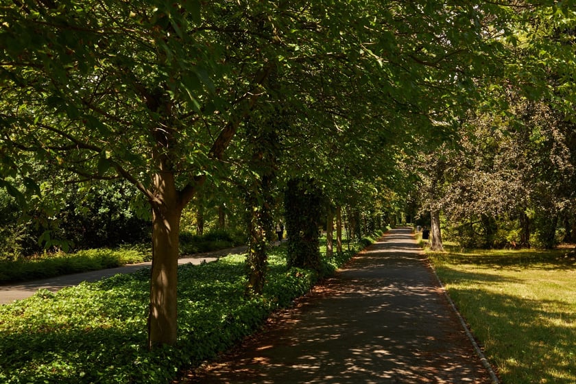 Park Szczytnicki we Wrocławiu