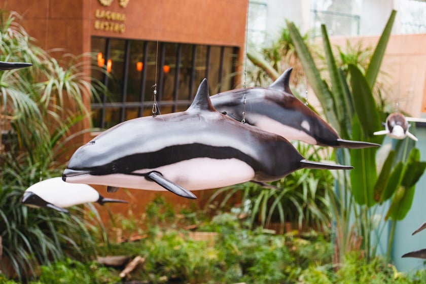 Wystawa "Czy różowe delfiny istnieją" w Afrykarium w Zoo Wrocław