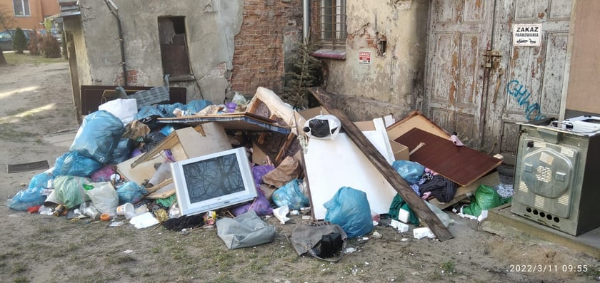 10-lecie Ekosystemu. Zobacz, jak przez te lata spółka dba o czystość we Wrocławiu