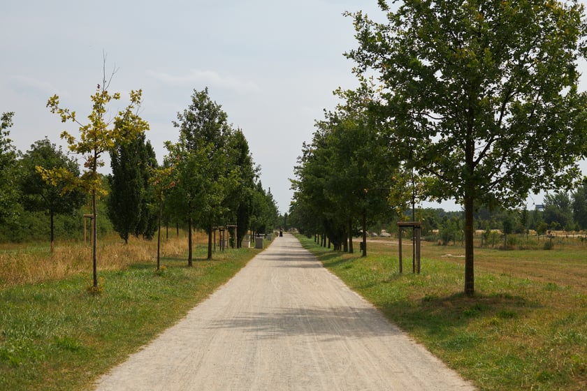 Park Tysiąclecia we Wrocławiu