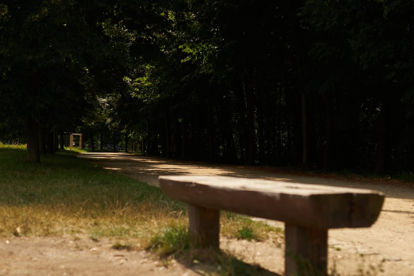 Park Tysiąclecia we Wrocławiu