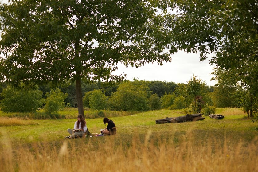 Park Tysiąclecia we Wrocławiu