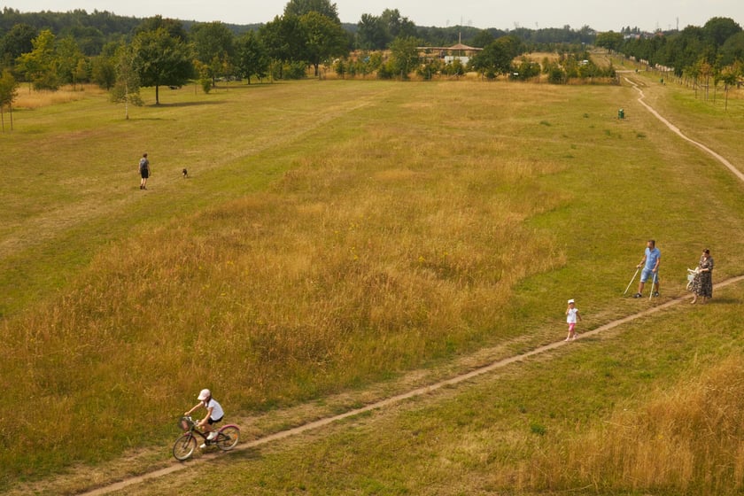 Park Tysiąclecia we Wrocławiu