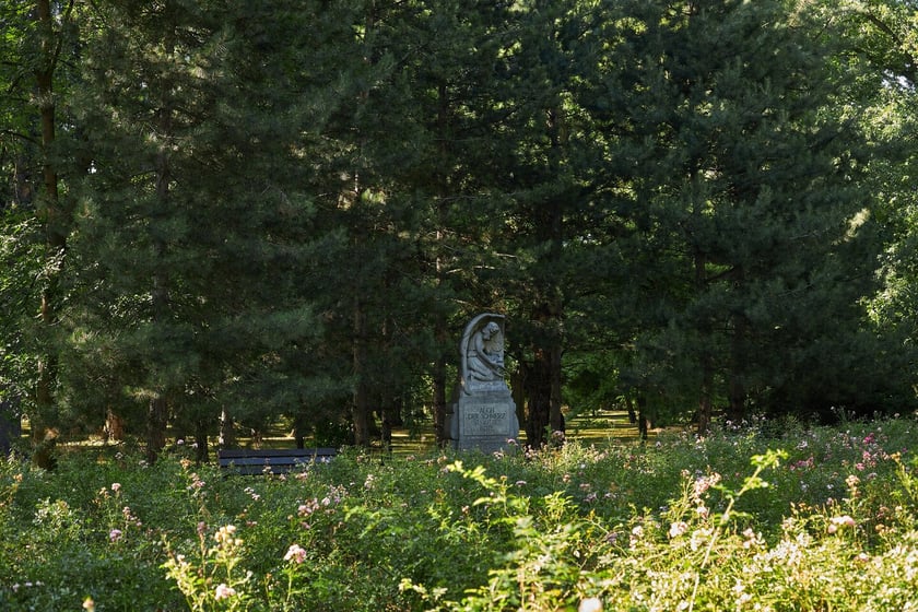 Park Zachodni we Wrocławiu