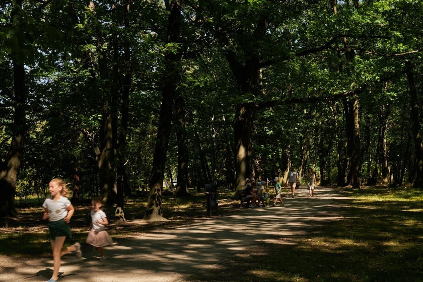 Park Zachodni we Wrocławiu