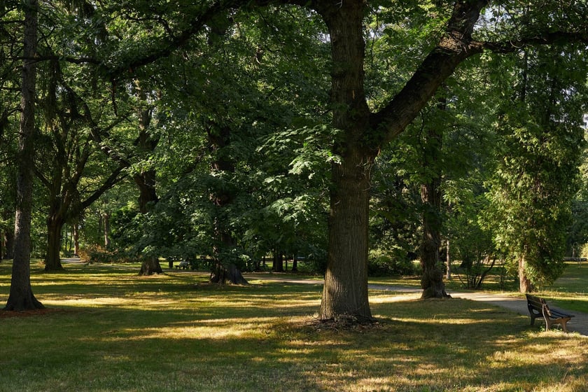 Park Zachodni we Wrocławiu