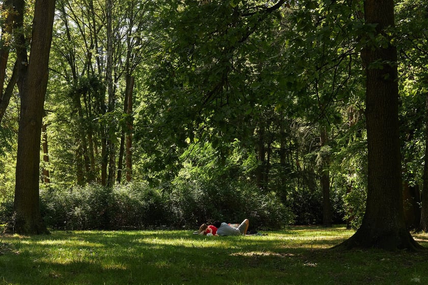 Park Zachodni we Wrocławiu