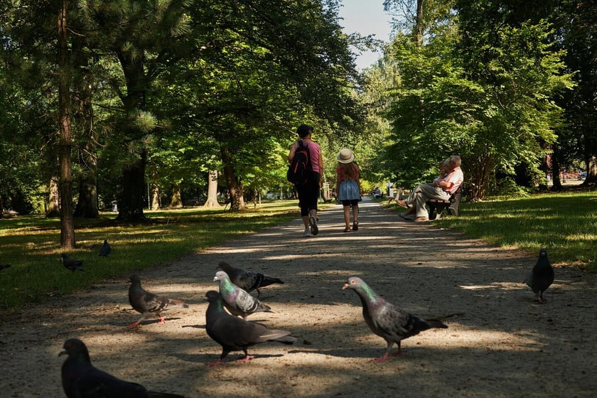 Park Zachodni we Wrocławiu