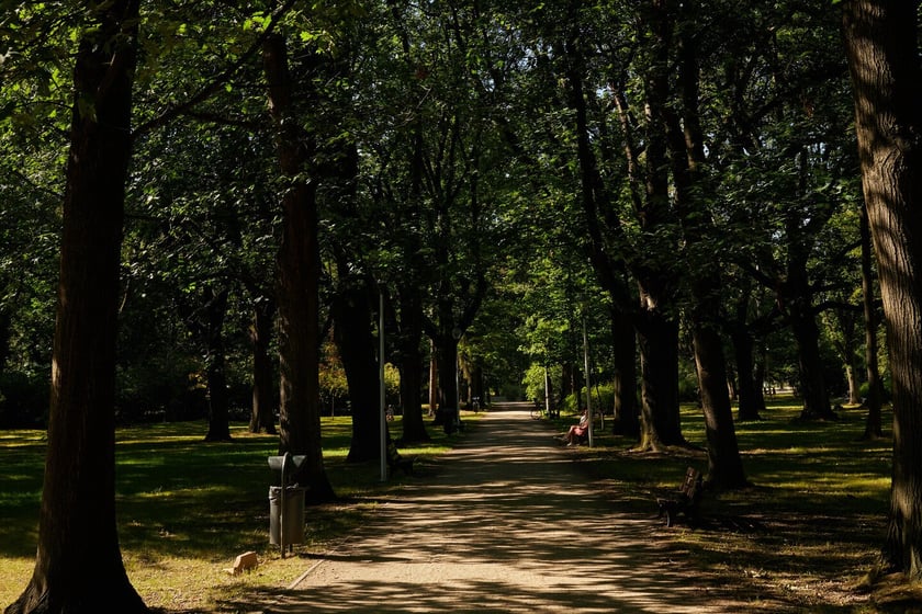 Park Zachodni we Wrocławiu