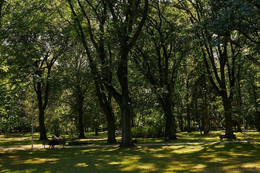 Park Zachodni we Wrocławiu