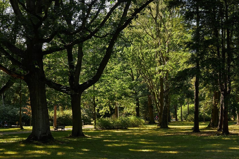 Park Zachodni we Wrocławiu