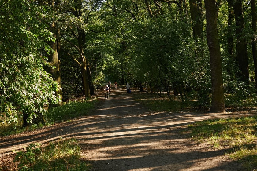 Park Zachodni we Wrocławiu