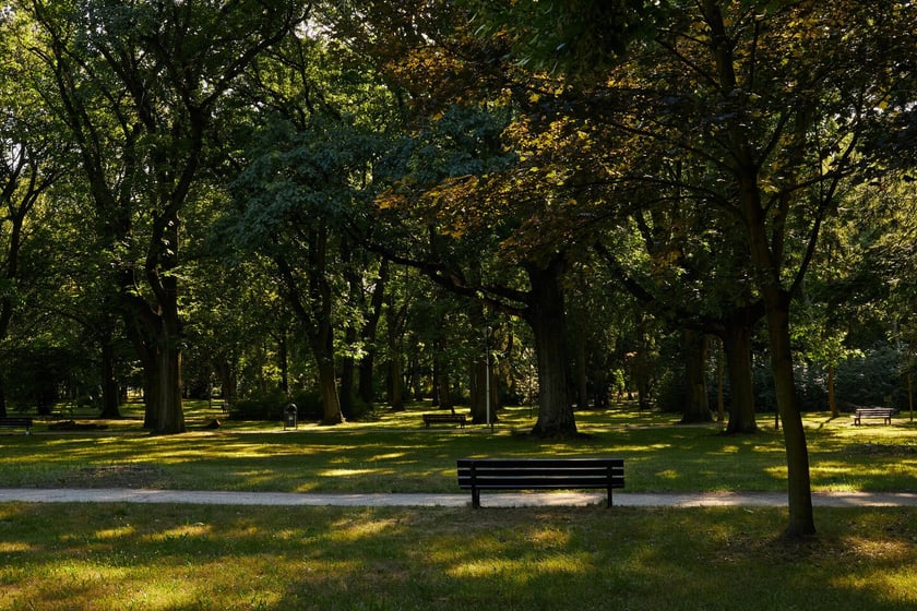 Park Zachodni we Wrocławiu
