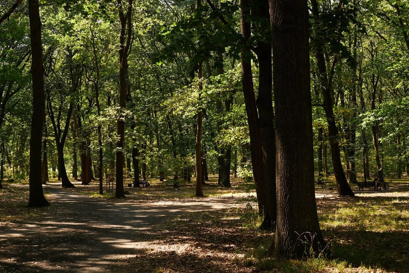 Park Zachodni we Wrocławiu
