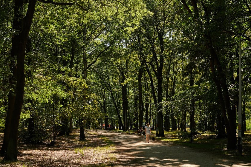 Park Zachodni we Wrocławiu