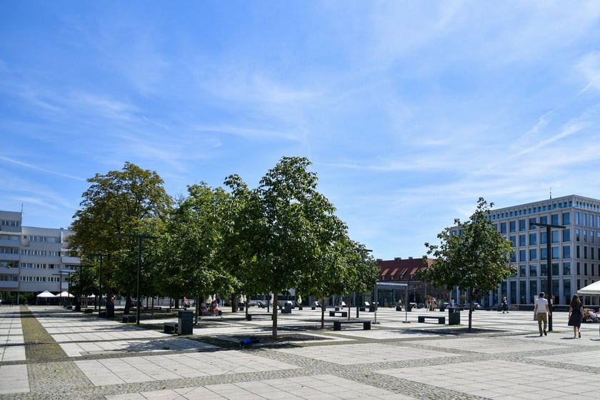 Plac Nowy Targ we Wrocławiu wkrótce będzie bardziej zielony