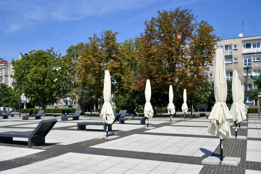 Plac Nowy Targ we Wrocławiu wkrótce będzie bardziej zielony