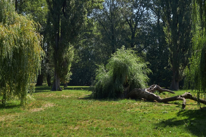 park Wschodni Wrocław