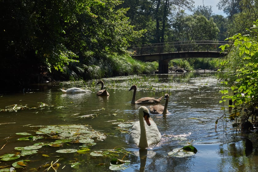park Wschodni Wrocław