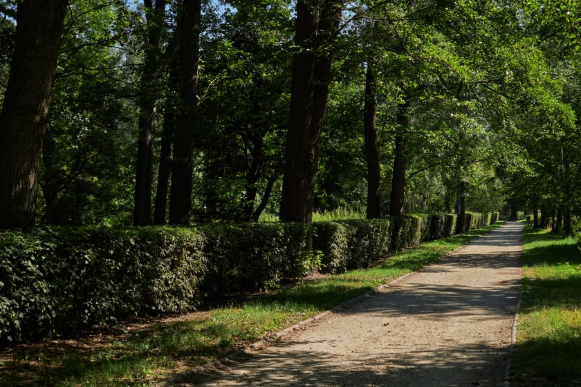 park Wschodni Wrocław