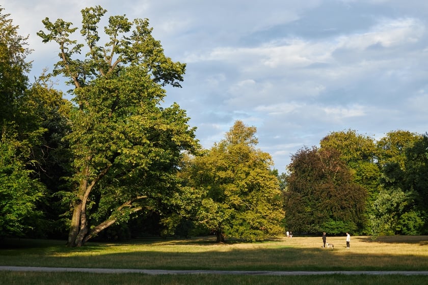 Park Południowy we Wrocławiu