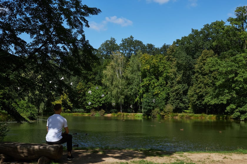 park Leśnicki
