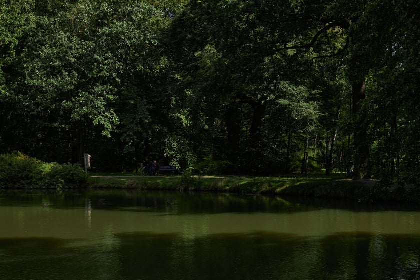 park Leśnicki