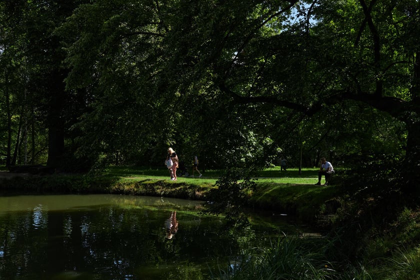 park Leśnicki