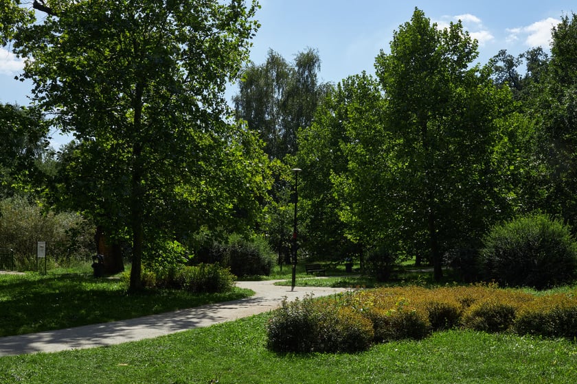 park Leśnicki