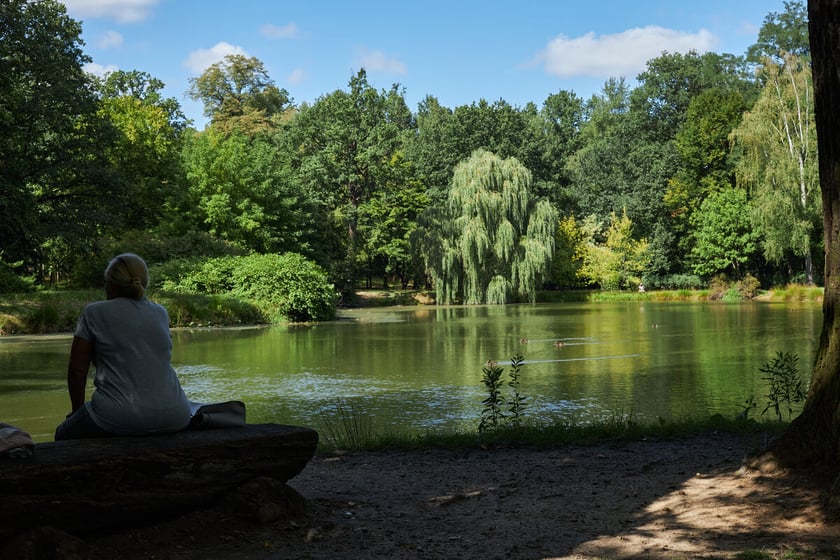 park Leśnicki