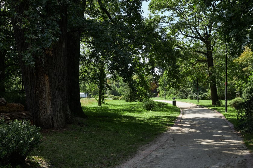 park Leśnicki