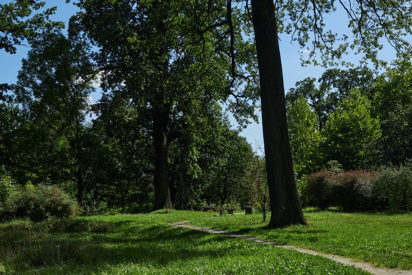 park Leśnicki