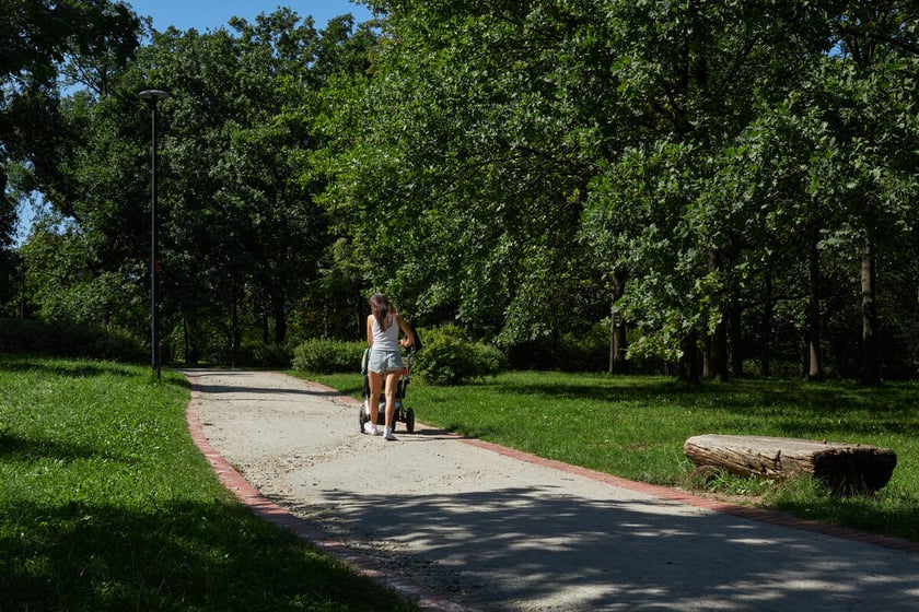 park Leśnicki