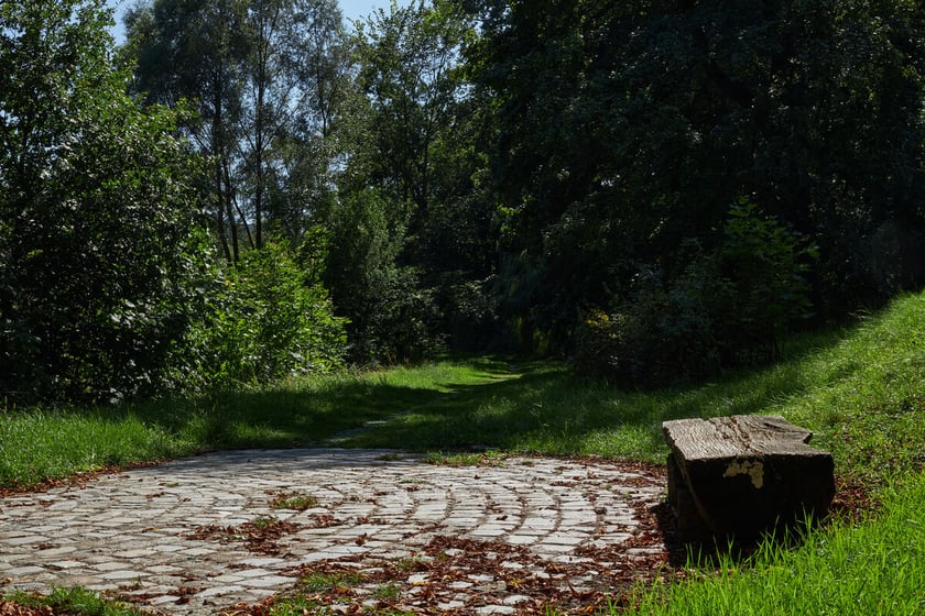 park Leśnicki