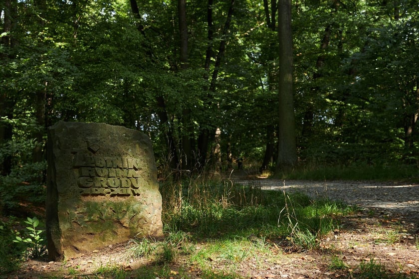 Park Złotnicki we Wrocławiu