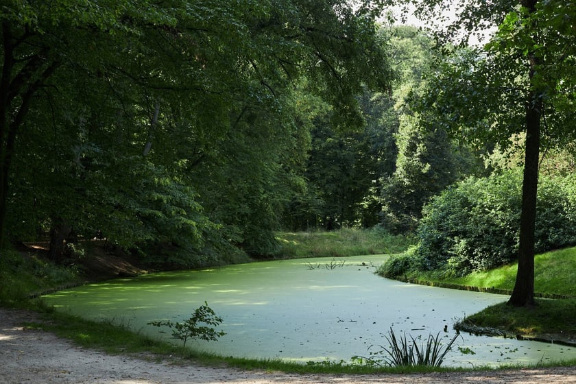 Park Złotnicki we Wrocławiu