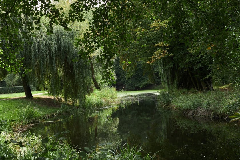 Park Złotnicki we Wrocławiu