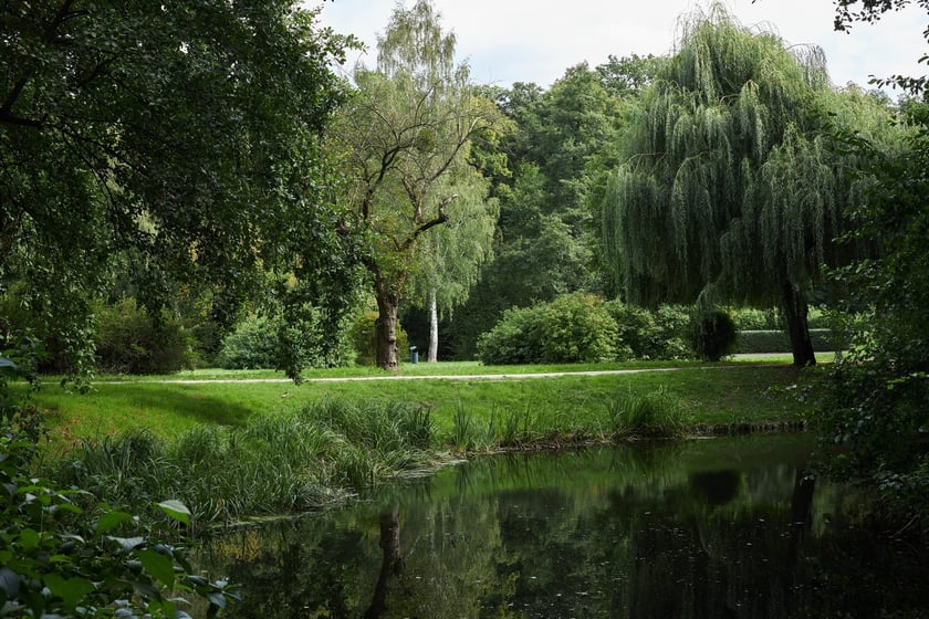 Park Złotnicki we Wrocławiu