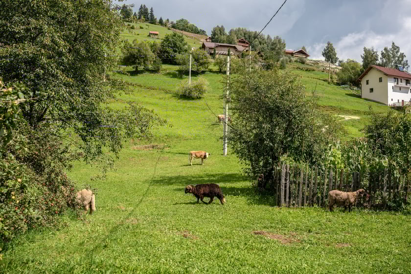 FoodSHIFT 2030: spotkanie projektowe w Rumunii