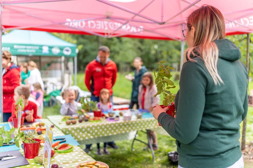 Sobota z Zielonym Wrocławiem