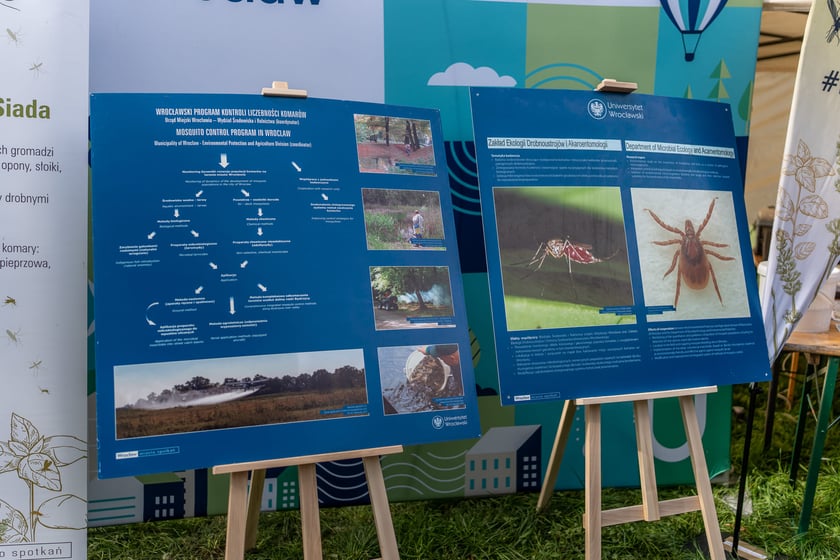 Sobota z Zielonym Wrocławiem