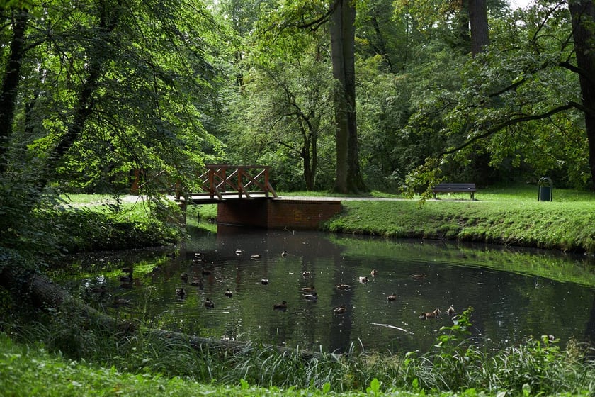 Park Strachowicki kusi spokojem i pięknymi stawami