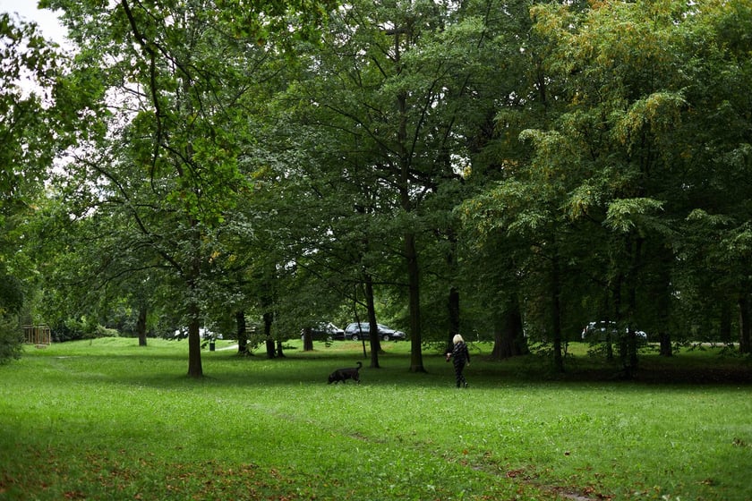 Park Strachowicki kusi spokojem i pięknymi stawami
