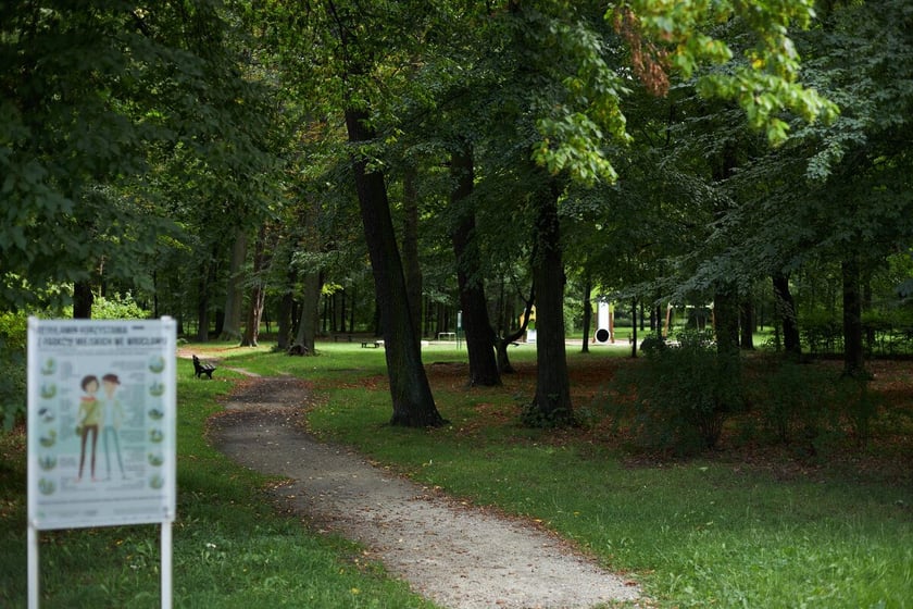 Park Strachowicki kusi spokojem i pięknymi stawami