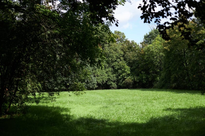 Park Strachowicki kusi spokojem i pięknymi stawami