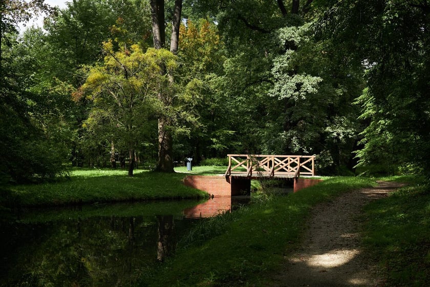 Park Strachowicki kusi spokojem i pięknymi stawami