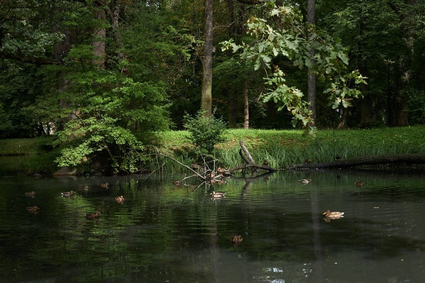 Park Strachowicki kusi spokojem i pięknymi stawami